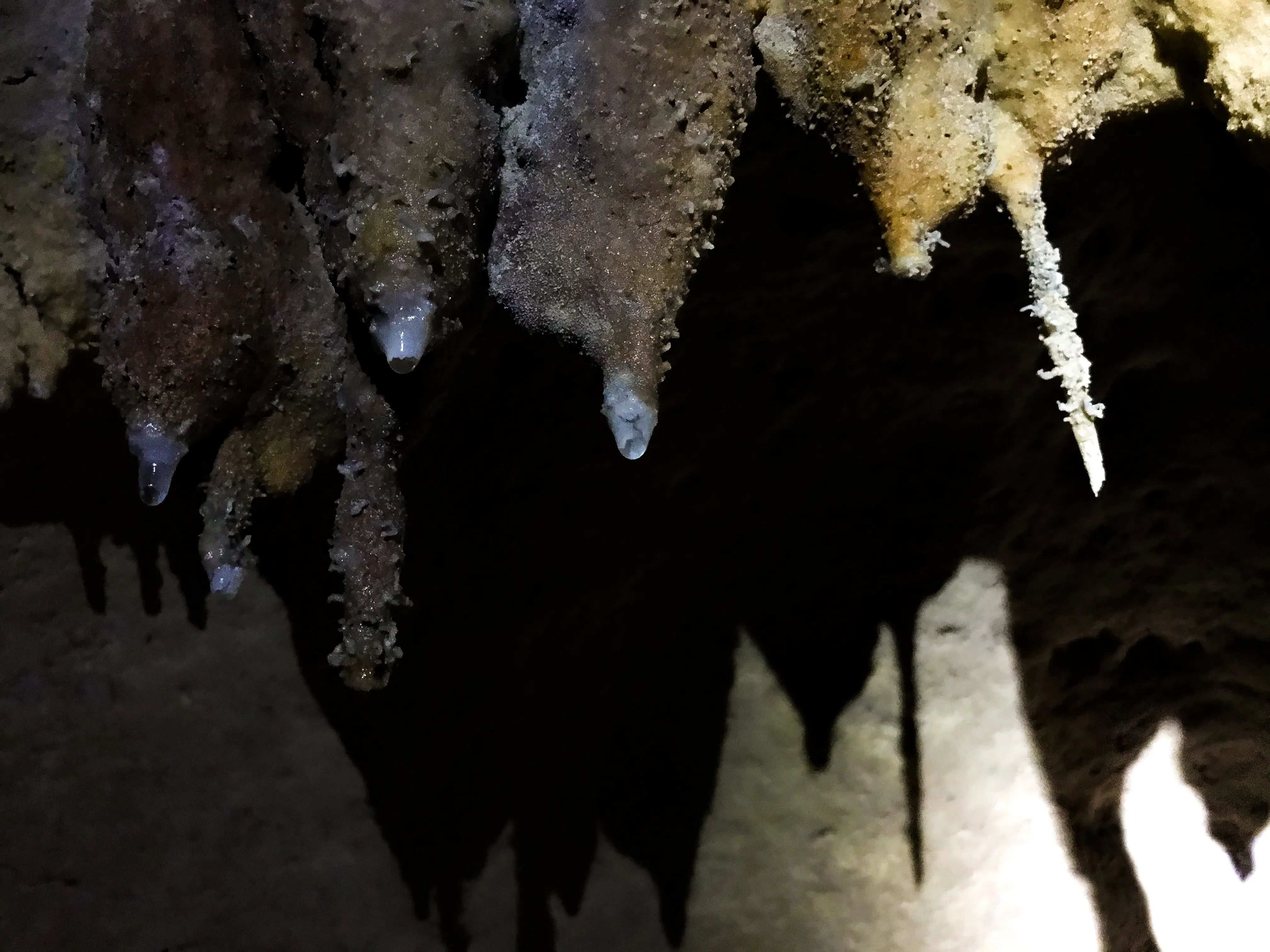 🏞️ 야부치 동굴 유적(자네 동굴) 이미지 8